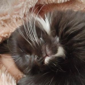 Meet your Posher, Kelly